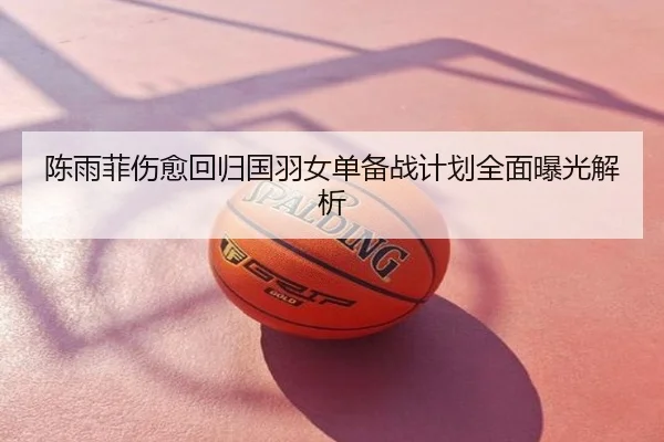 陈雨菲伤愈回归国羽女单备战计划全面曝光解析